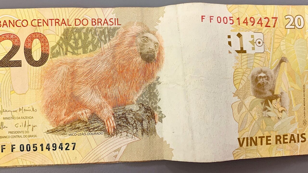 Dólar volta a R$ 5 e Ibovespa recua após forte alta pós-eleição